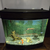 https://cdn.worldota.net/t/100x100/hotel_review/dd/f2/ddf29fe2b3c2ffed16d2f1e9648b68eaba7cf51c.JPEG