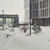 https://cdn.worldota.net/t/100x100/hotel_review/dd/fd/ddfde12d1e43099ca46e851fa7364088a7e27ce4.JPEG