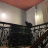 https://cdn.worldota.net/t/100x100/hotel_review/de/78/de78aad5fae2acc7afd92208a8b9aca821842c04.JPEG