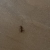 https://cdn.worldota.net/t/100x100/hotel_review/df/1d/df1dfc355e2333aeb0448375bbe2347b9eeac274.JPEG