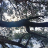 https://cdn.worldota.net/t/100x100/hotel_review/df/5f/df5f5f23a209d2659f1abb04cff946a31c97b427.JPEG