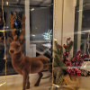 https://cdn.worldota.net/t/100x100/hotel_review/df/b3/dfb3881f5884642b28e297be6b6bce8f7102d32c.JPEG
