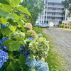 https://cdn.worldota.net/t/100x100/hotel_review/e1/0a/e10aa7f63e13e0cb4033c849e7cc204f1533178d.JPEG