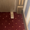 https://cdn.worldota.net/t/{size}/hotel_review/e2/b2/e2b22ae7a8e4572def88fe5255f0f376b5fdac90.JPEG