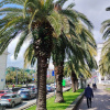 https://cdn.worldota.net/t/100x100/hotel_review/e4/ce/e4cecce6b983bdd662383314d1c068b76af2bed0.JPEG