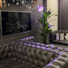 https://cdn.worldota.net/t/100x100/hotel_review/e4/e2/e4e2d1de9d1291ba224a9c4c40976ed2bdbdad98.JPEG