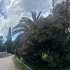 https://cdn.worldota.net/t/100x100/hotel_review/e5/3f/e53f4c9633dc5b6a639f5e0213a8767489f54191.JPEG