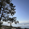 https://cdn.worldota.net/t/{size}/hotel_review/e5/c0/e5c0abf56385a077b1a77ac9cd486e53a770d8b9.JPEG