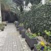 https://cdn.worldota.net/t/100x100/hotel_review/e7/29/e7291c468d11e1c4dceab87685844f3a1247ff8a.JPEG
