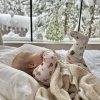 https://cdn.worldota.net/t/100x100/hotel_review/e7/75/e7757980f29c9f05f8d53067a0c58132beedc078.JPEG
