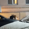 https://cdn.worldota.net/t/{size}/hotel_review/e7/8d/e78dd9125fc266a257336c84d6215c3cd415f774.JPEG