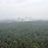 https://cdn.worldota.net/t/{size}/hotel_review/e8/11/e811eccb3460500ea3721c3a73379236a911d34d.JPEG