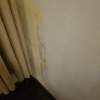 https://cdn.worldota.net/t/100x100/hotel_review/e8/26/e826207bd683f49246b290db90faf93f8aff3933.JPEG