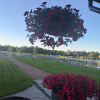 https://cdn.worldota.net/t/100x100/hotel_review/e8/74/e874fe07a6ad7d9911dcea129aeaf7ff180d4313.JPEG