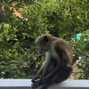 https://cdn.worldota.net/t/100x100/hotel_review/e9/3d/e93dfb25ebbb9145b685b818cc84df20f5539766.JPEG