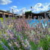 https://cdn.worldota.net/t/100x100/hotel_review/eb/f0/ebf074a4216f785c29ce588d4613b39fd8f23378.JPEG