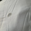 https://cdn.worldota.net/t/{size}/hotel_review/ec/3c/ec3c2571defa23e922ac01eedef30fd0ee0c5c96.JPEG