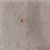https://cdn.worldota.net/t/100x100/hotel_review/ec/cb/eccb758a2bd82146c260e7b96787fd72796881f9.JPEG