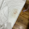 https://cdn.worldota.net/t/100x100/hotel_review/ed/05/ed05af4d4be8bdcd58a4e254dcb18b36d015a5bc.JPEG