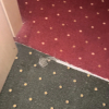 https://cdn.worldota.net/t/{size}/hotel_review/ed/10/ed106136ca2f714ef9f3a39d2214ddae4fa54654.JPEG