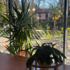 https://cdn.worldota.net/t/100x100/hotel_review/ed/32/ed32121ffa4807858fcae24b476113afc5885dd4.JPEG