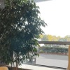 https://cdn.worldota.net/t/{size}/hotel_review/ed/52/ed52aa9f28bc01883fc8285d0230a8bfe6b9d12a.JPEG