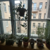 https://cdn.worldota.net/t/100x100/hotel_review/ee/57/ee57406cec781a2677e704f8d9f621ba4d4762b6.JPEG