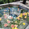 https://cdn.worldota.net/t/100x100/hotel_review/ee/a5/eea5660e0f02679c9a7dc13d5b700751e1310185.JPEG