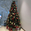 https://cdn.worldota.net/t/100x100/hotel_review/ef/3a/ef3ae03855e7fe6a9bbd83bfa8a3ecec4dd3fbba.JPEG