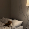 https://cdn.worldota.net/t/100x100/hotel_review/ef/42/ef42a5d171ec907f8f34a3a3ddbc3d77a83c7017.JPEG