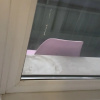 https://cdn.worldota.net/t/100x100/hotel_review/ef/7d/ef7dfce9aae1ad84e9a5eaa1f21743d4d1d98883.JPEG