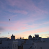 https://cdn.worldota.net/t/100x100/hotel_review/f0/f6/f0f660fcb5ba9532238b08b490be4bcb40d28ddf.JPEG