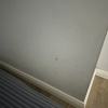 https://cdn.worldota.net/t/100x100/hotel_review/f1/5d/f15d296d3a405591543ee2b945d424b07a39c908.JPEG