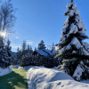 https://cdn.worldota.net/t/{size}/hotel_review/f2/3b/f23ba78c182e3c3742575150bb8540b5826db8ec.JPEG