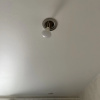 https://cdn.worldota.net/t/{size}/hotel_review/f3/24/f32453676d4cfe0495ba98cbbddbfdc1cc690ba4.JPEG