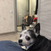 https://cdn.worldota.net/t/100x100/hotel_review/f3/41/f341d4a1fa095524f93bdd6166a1d510a041ec2e.JPEG