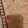 https://cdn.worldota.net/t/100x100/hotel_review/f4/0e/f40e90cfc0ed71662246d09458bffae1694dfb3d.JPEG