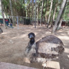 https://cdn.worldota.net/t/100x100/hotel_review/f4/91/f491b2732a929c734a64809e1ab15eb551634064.jpeg