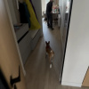 https://cdn.worldota.net/t/100x100/hotel_review/f5/66/f566e024c0efdcdcf57c069a402c08446a2e34df.PNG
