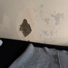 https://cdn.worldota.net/t/100x100/hotel_review/f5/f4/f5f4bf4fb8ab2b123d05dd8c2b02bfd8bcd3fd43.JPEG