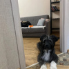 https://cdn.worldota.net/t/100x100/hotel_review/f6/07/f60771e1d25f3970c1092b17d09c2d6f45d739dc.JPEG