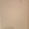 https://cdn.worldota.net/t/100x100/hotel_review/f6/3e/f63e482171f7a5333901d50228e2bc798dfcc11c.JPEG