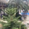 https://cdn.worldota.net/t/{size}/hotel_review/f6/42/f6426c5ae421a7b3494a3cb442959e7a96b58f8a.JPEG