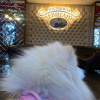 https://cdn.worldota.net/t/100x100/hotel_review/f6/9c/f69cb081278d6e9326742482bebb3b5d8a535594.JPEG