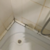 https://cdn.worldota.net/t/100x100/hotel_review/f8/3b/f83b08053112e3b96136c7690be1a11793dc0126.JPEG