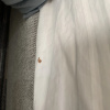 https://cdn.worldota.net/t/{size}/hotel_review/f8/87/f88736b5114780d2477b2fcdccf65aee384f5ba3.JPEG
