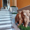 https://cdn.worldota.net/t/100x100/hotel_review/fa/e4/fae4cfa3096993e8f6c4f492df8bb43ee529d1a1.JPEG