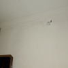 https://cdn.worldota.net/t/100x100/hotel_review/fc/86/fc867ff8288381107af32cb2d49a7bce3f674bbb.JPEG