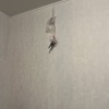 https://cdn.worldota.net/t/100x100/hotel_review/fc/b5/fcb5ac8ed9804271f776ea4e9f4d41081720a743.JPEG