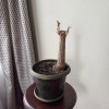 https://cdn.worldota.net/t/{size}/hotel_review/fd/20/fd206702b1054878652ae593f02ff37ba5bec021.JPEG